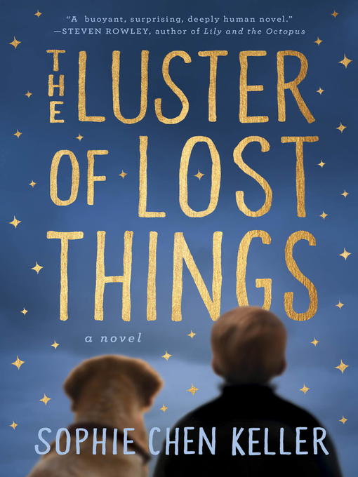 Title details for The Luster of Lost Things by Sophie Chen Keller - Available